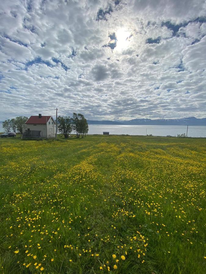 Unique And Charming Holiday Home With Fantastic Sea Views Tromsø Eksteriør bilde