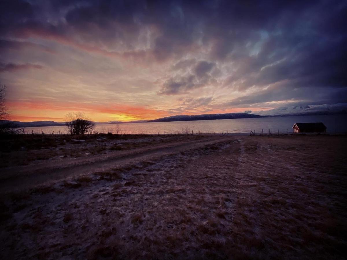 Unique And Charming Holiday Home With Fantastic Sea Views Tromsø Eksteriør bilde