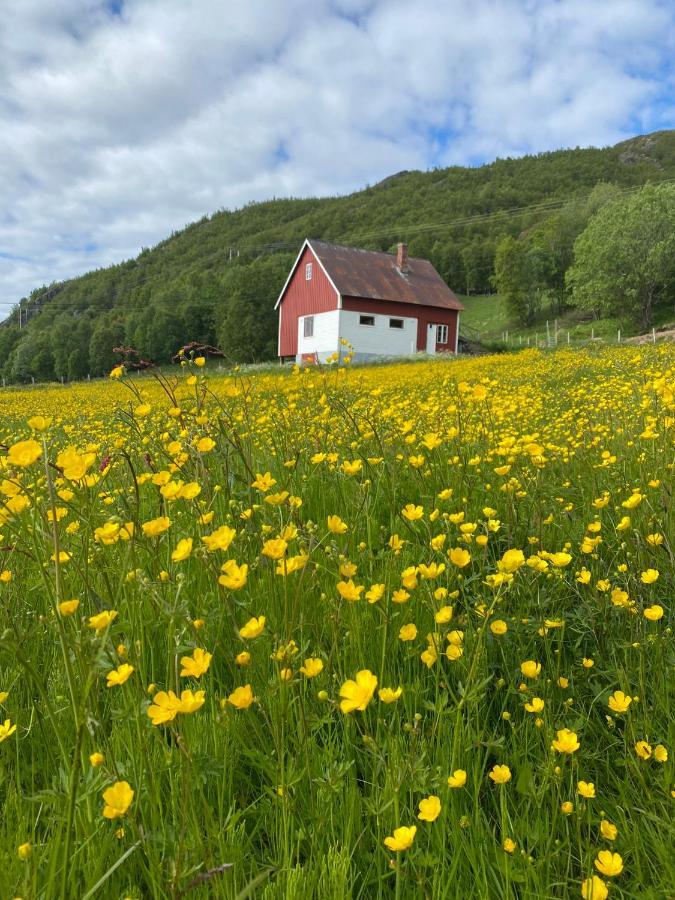 Unique And Charming Holiday Home With Fantastic Sea Views Tromsø Eksteriør bilde