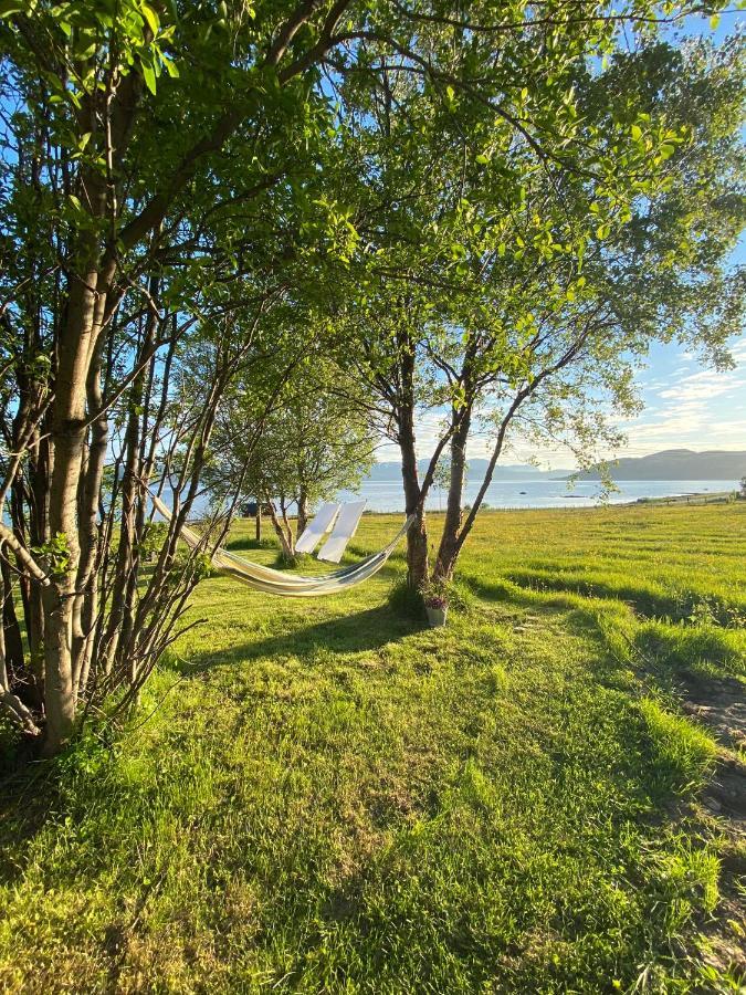 Unique And Charming Holiday Home With Fantastic Sea Views Tromsø Eksteriør bilde