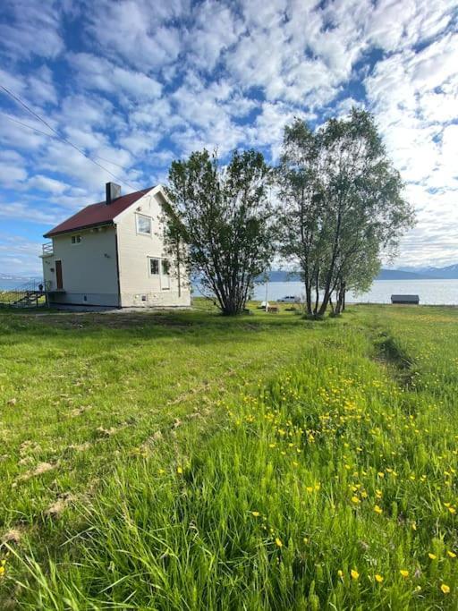 Unique And Charming Holiday Home With Fantastic Sea Views Tromsø Eksteriør bilde