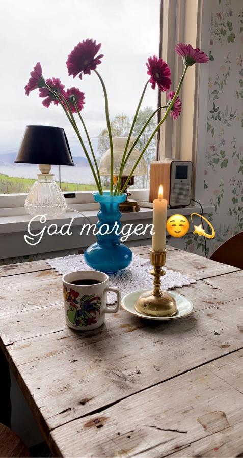 Unique And Charming Holiday Home With Fantastic Sea Views Tromsø Eksteriør bilde