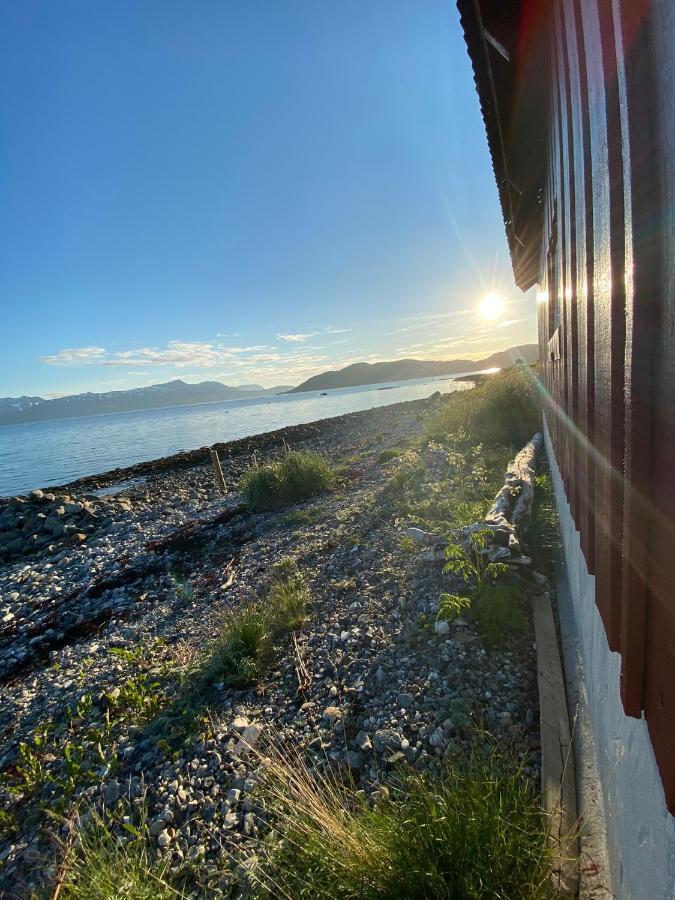 Unique And Charming Holiday Home With Fantastic Sea Views Tromsø Eksteriør bilde