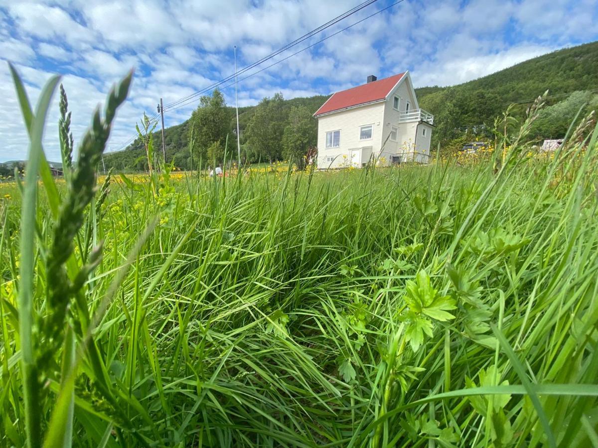 Unique And Charming Holiday Home With Fantastic Sea Views Tromsø Eksteriør bilde