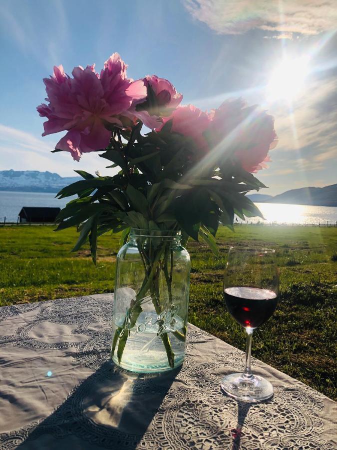 Unique And Charming Holiday Home With Fantastic Sea Views Tromsø Eksteriør bilde