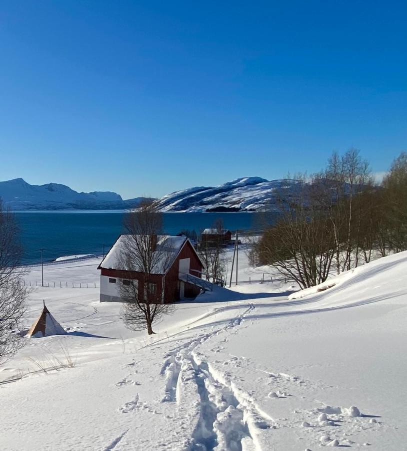 Unique And Charming Holiday Home With Fantastic Sea Views Tromsø Eksteriør bilde