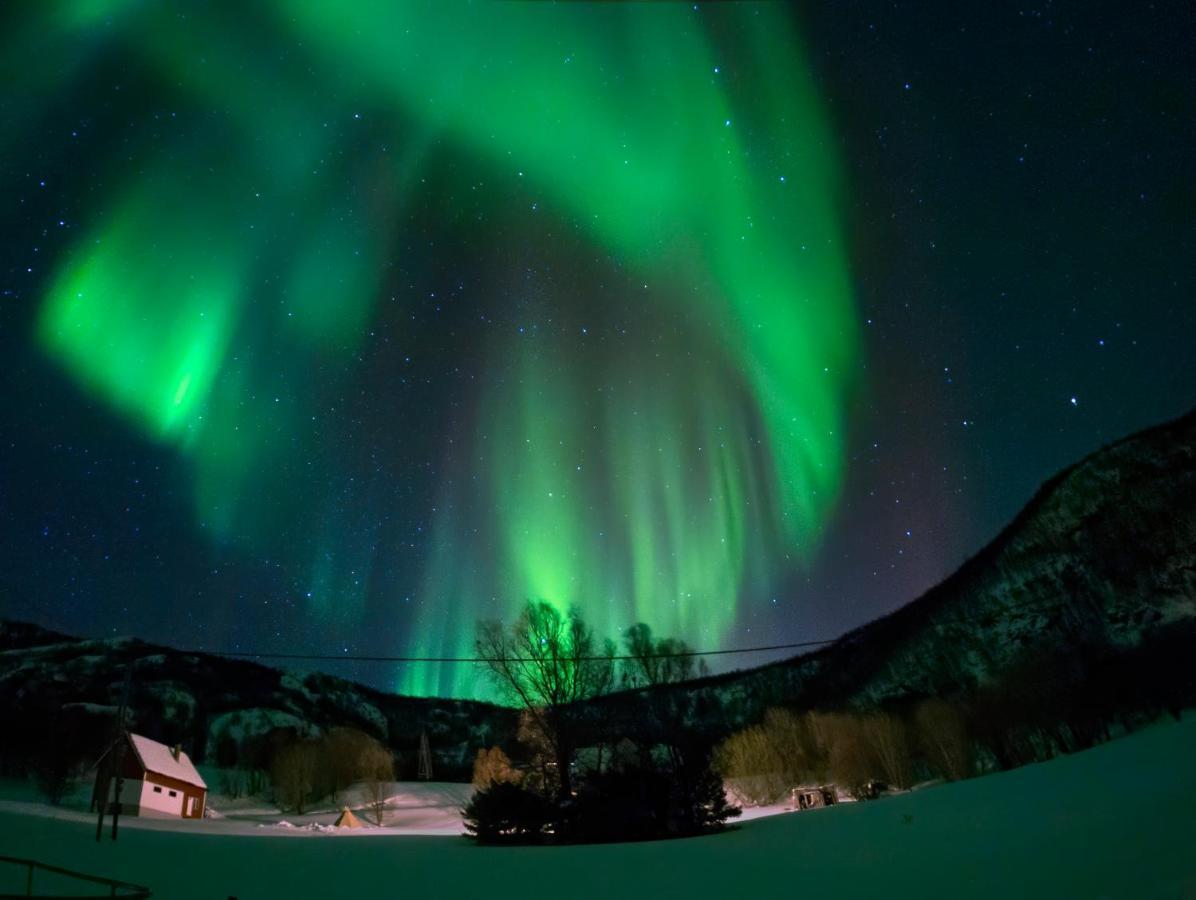 Unique And Charming Holiday Home With Fantastic Sea Views Tromsø Eksteriør bilde